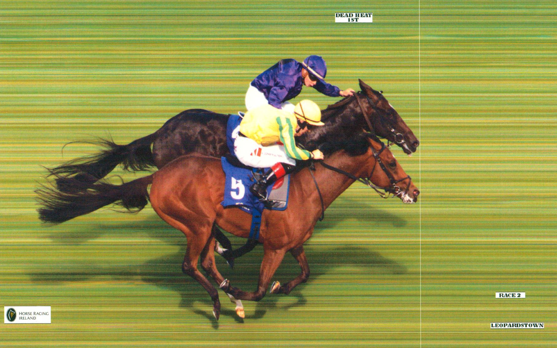 PYTHION (yellow & green) swoops late to dead heat on his debut at Leopardstown, 26th July 2018